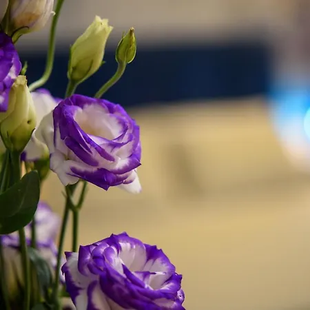 Celso 14 Guest house